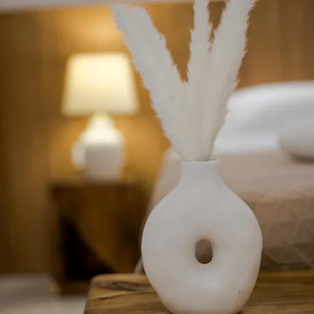 Ohana Paros Villa *